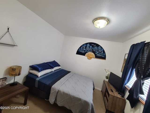 bedroom with carpet flooring