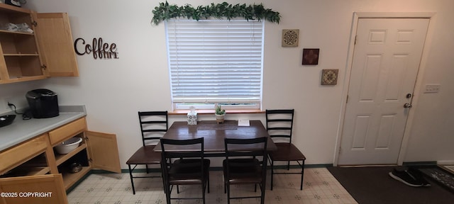 dining space with light floors