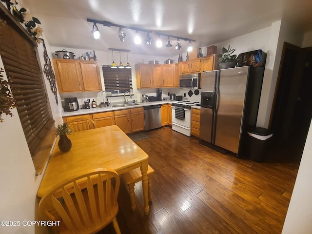kitchen featuring dark wood finished floors, rail lighting, a sink, light countertops, and stainless steel appliances