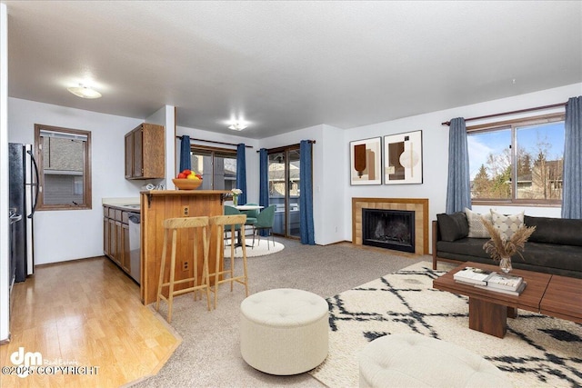 4241 Folker St # D202, Anchorage, AK 99508 - living room featuring a fireplace and light wood-style flooring