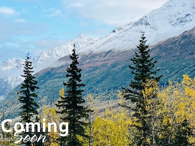 27365 Vantage Ave, Eagle River, AK 99577 - view of mountain background featuring a heavily wooded area