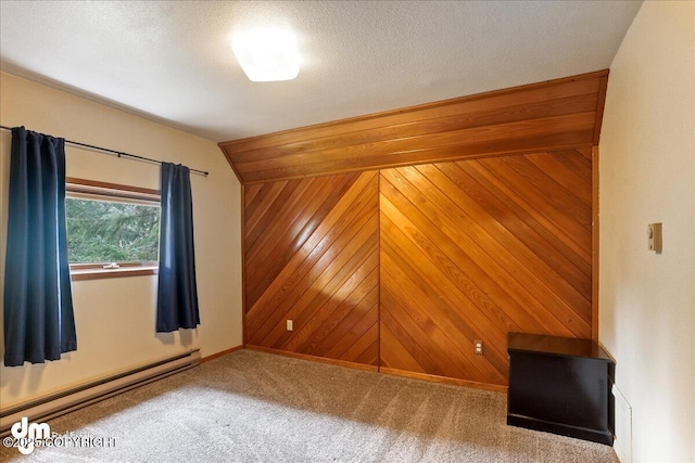 337 Alta Dr, Girdwood, AK 99587 - empty room with baseboards, wood walls, carpet, and a baseboard radiator