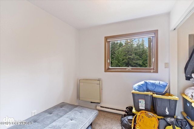 337 Alta Dr, Girdwood, AK 99587 - bedroom featuring carpet and a baseboard heating unit