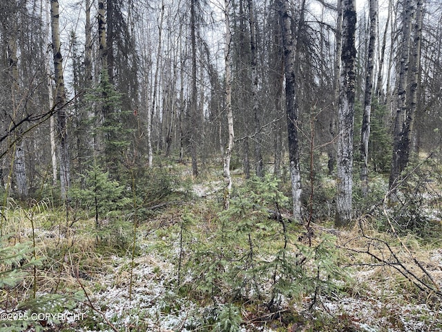 19772 E Montana Creek Rd, Talkeetna, AK 99676