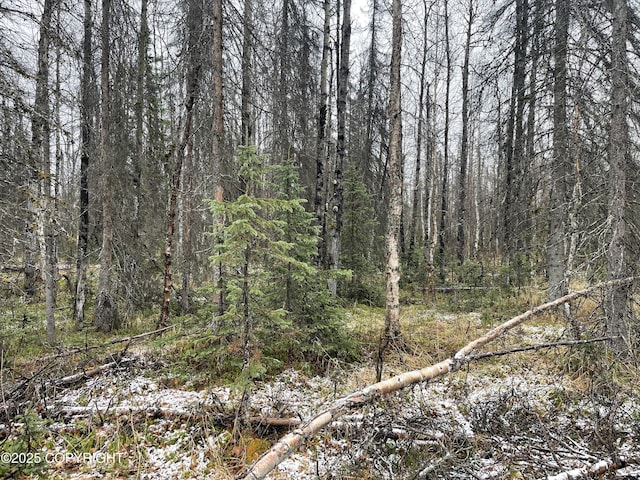 19772 E Montana Creek Rd, Talkeetna, AK 99676