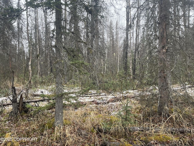 19772 E Montana Creek Rd, Talkeetna, AK 99676