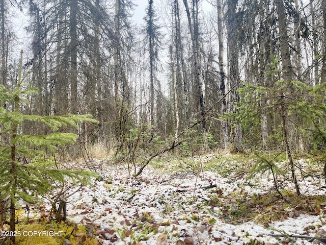 19772 E Montana Creek Rd, Talkeetna, AK 99676