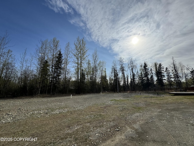 3140 N Brocton Ave, Wasilla, AK 99654 - view of nature