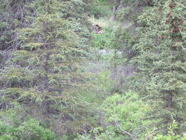 L6 River Cir, Eagle River, AK 99577 - photo 4