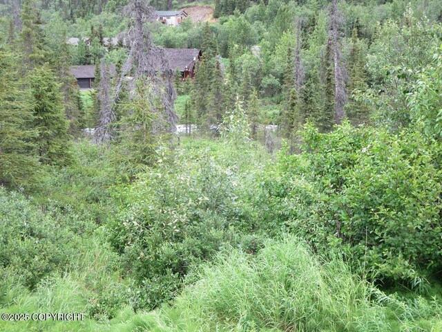 L6 River Cir, Eagle River, AK 99577 - photo 5