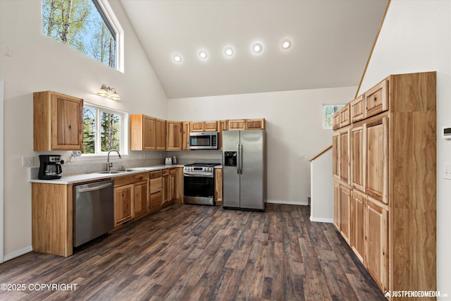 kitchen featuring a sink, dark wood-style flooring, stainless steel appliances, and high vaulted ceiling