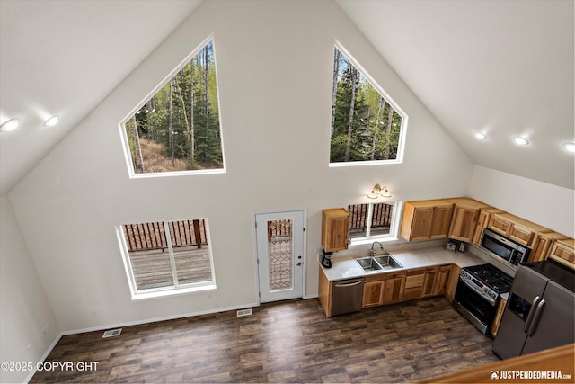 kitchen with light countertops, a wealth of natural light, stainless steel appliances, and a sink