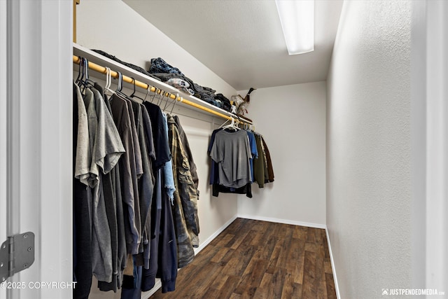 spacious closet with wood finished floors