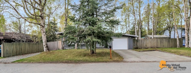 view of property hidden behind natural elements with concrete driveway