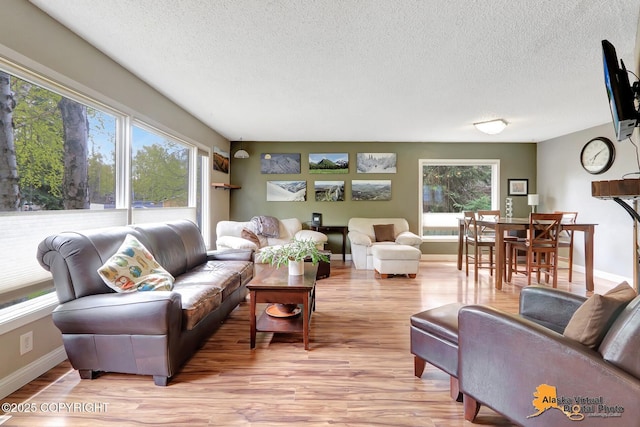 living area with plenty of natural light, a textured ceiling, light wood-style floors, and baseboards