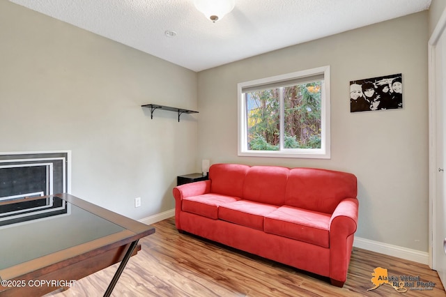 living room featuring wood finished floors, baseboards, and a textured ceiling