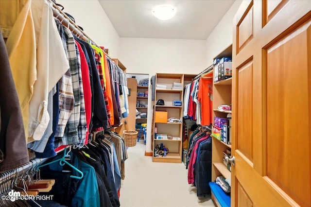8115 N Highlander, Wasilla, AK 99654 - spacious closet with carpet flooring
