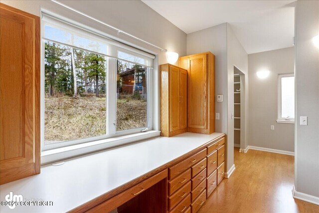 hall with light wood finished floors, healthy amount of natural light, and baseboards