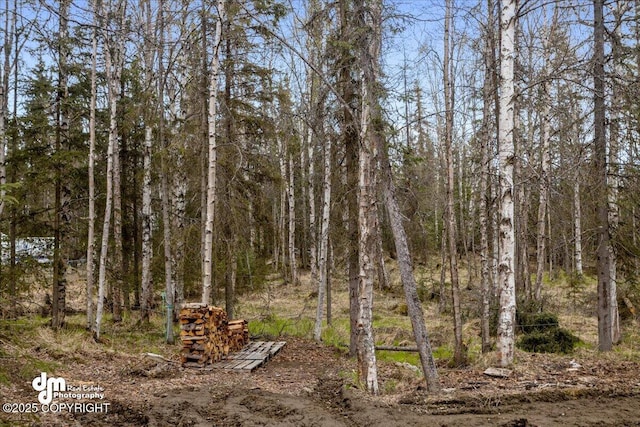 view of tree filled area