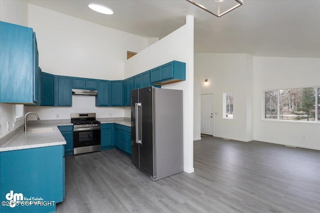 kitchen with light wood-style floors, light countertops, under cabinet range hood, a sink, and stainless steel appliances