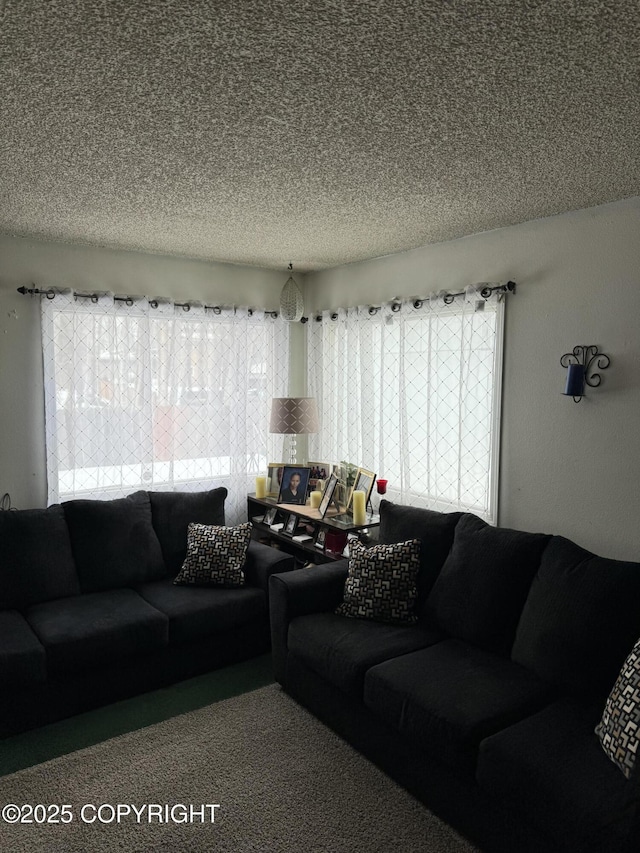 carpeted living area with a textured ceiling