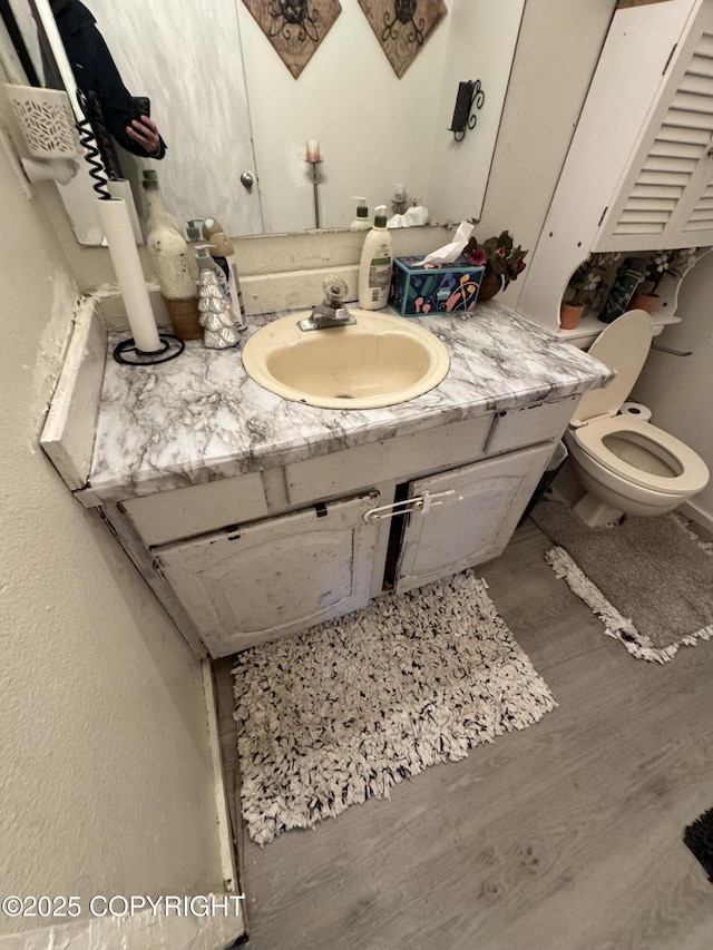 bathroom with vanity, toilet, and wood finished floors