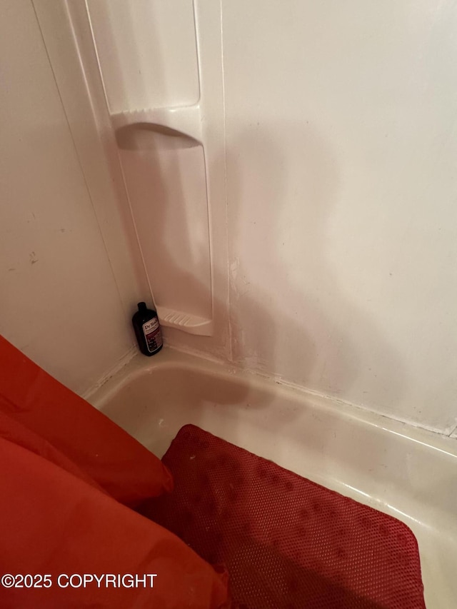 detailed view of a bath and a shower