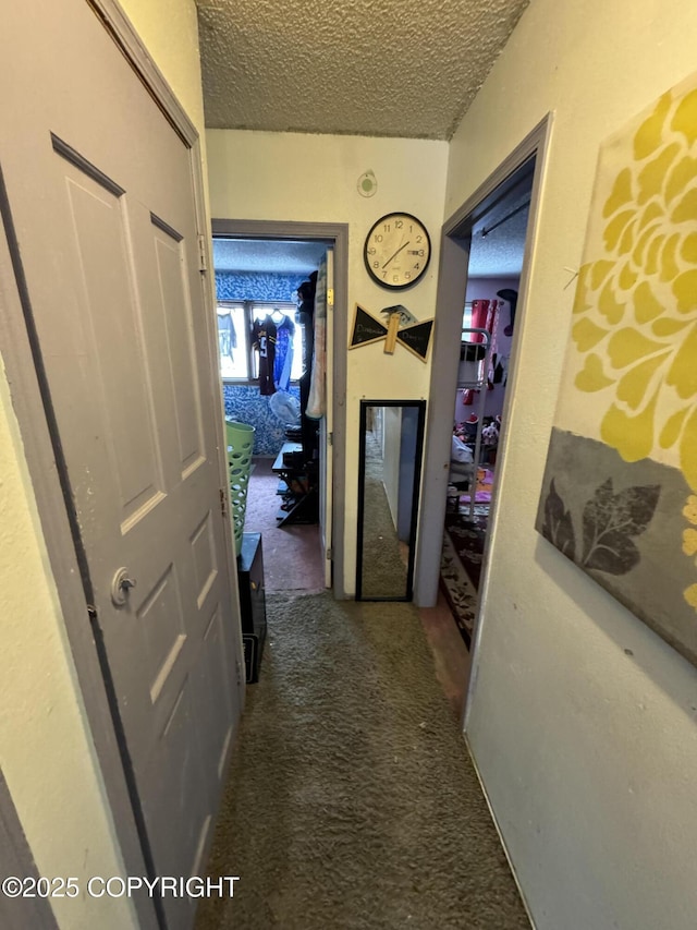 hallway with a textured ceiling and carpet