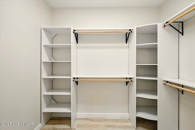 walk in closet featuring wood finished floors
