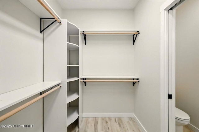 spacious closet featuring light wood-style flooring