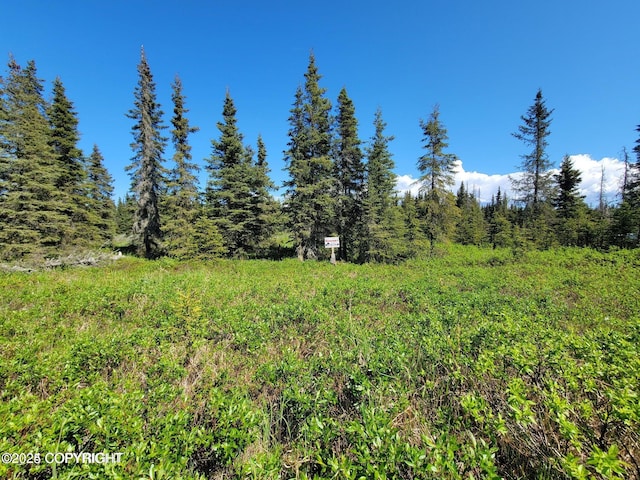 19870 Sterling Hwy, Ninilchik, AK 99639