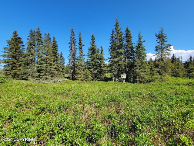 19870 Sterling Hwy, Ninilchik, AK 99639