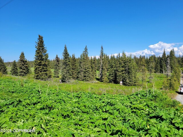 19870 Sterling Hwy, Ninilchik, AK 99639