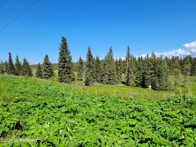19870 Sterling Hwy, Ninilchik, AK 99639