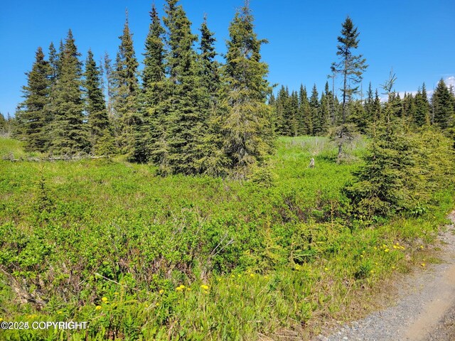 19870 Sterling Hwy, Ninilchik, AK 99639