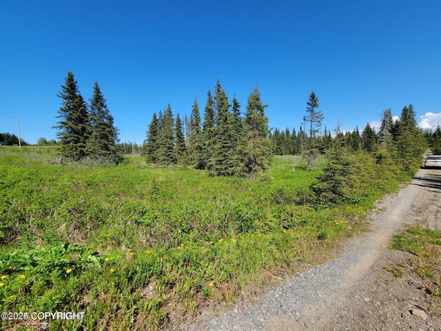 19870 Sterling Hwy, Ninilchik, AK 99639