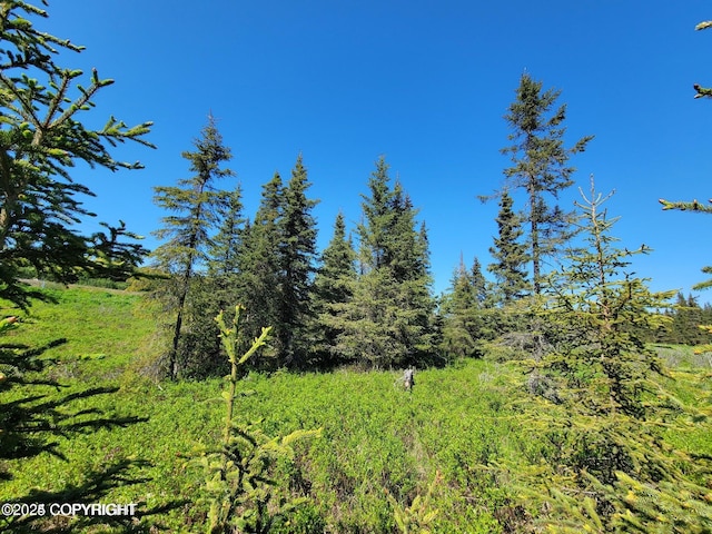 19870 Sterling Hwy, Ninilchik, AK 99639