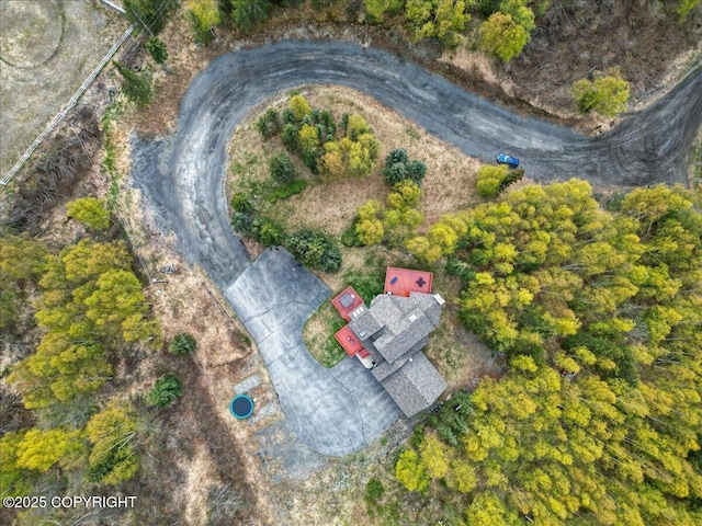 aerial view