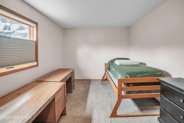 8515 Jewel Lake Rd # 25, Anchorage, AK 99502 - carpeted bedroom with baseboards