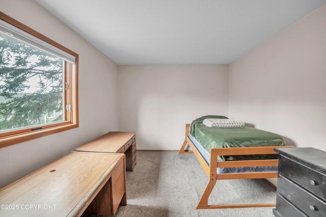 8515 Jewel Lake Rd # 25, Anchorage, AK 99502 - bedroom with carpet and baseboards