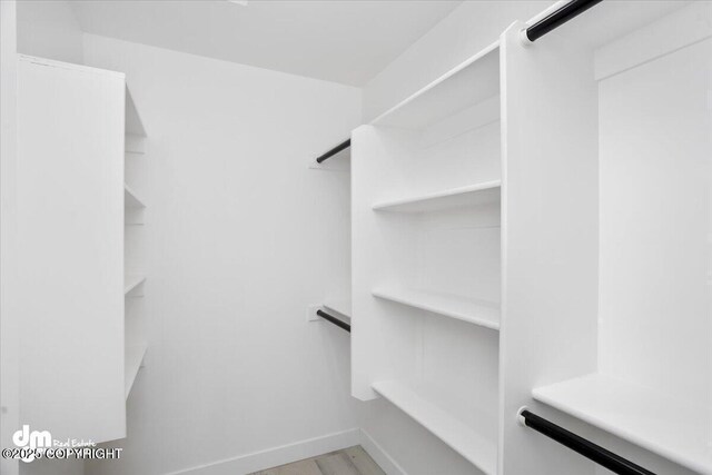 walk in closet featuring light wood finished floors