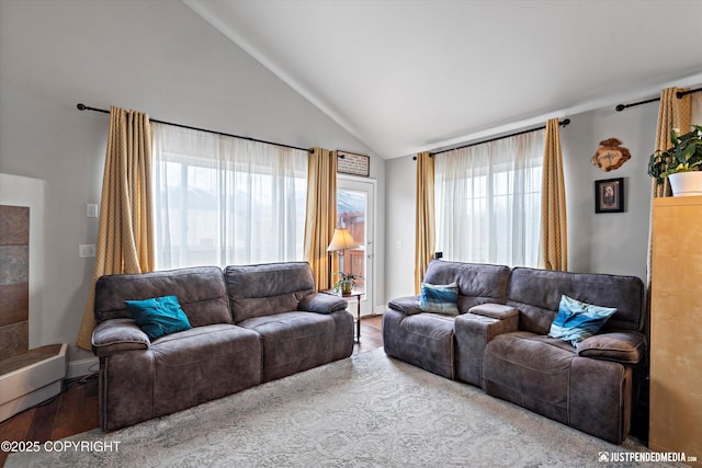 6801 E Tudor Rd, Anchorage, AK 99507 - living room featuring wood finished floors, a healthy amount of sunlight, and high vaulted ceiling