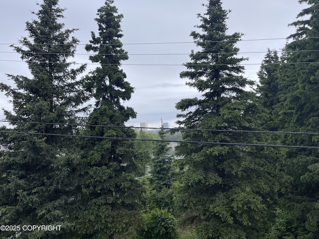 123 E 24th Ave # 4, Anchorage, AK 99503 - view of yard with a forest view