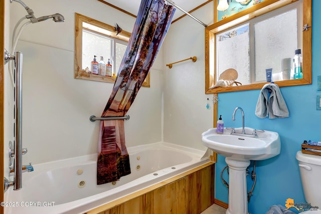 13706 E First St, Talkeetna, AK 99676 - full bathroom with toilet and a combined bath / shower with jetted tub