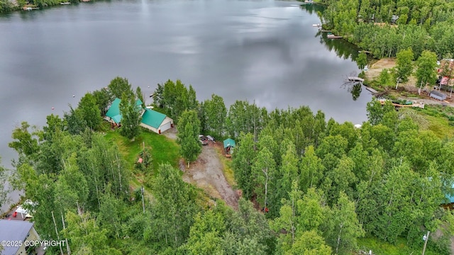 2643 S Rory Cir, Big Lake, AK 99654 - aerial overview of property's location with a large body of water