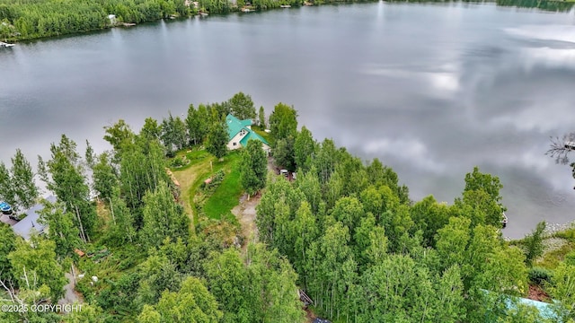 2643 S Rory Cir, Big Lake, AK 99654 - aerial view of a nearby body of water