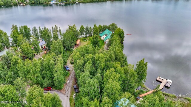 2643 S Rory Cir, Big Lake, AK 99654 - bird's eye view of a large body of water