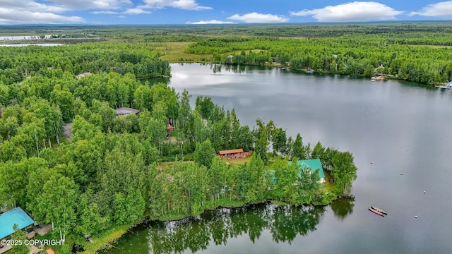 2643 S Rory Cir, Big Lake, AK 99654 - bird's eye view of a heavily wooded area and a nearby body of water