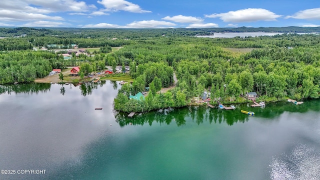 2643 S Rory Cir, Big Lake, AK 99654 - aerial view of a forest and a nearby body of water