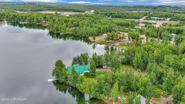 2643 S Rory Cir, Big Lake, AK 99654 - aerial view of a heavily wooded area and a nearby body of water